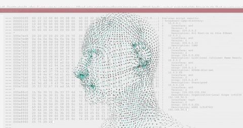 Binary Mesh Portrait with Network Data Background