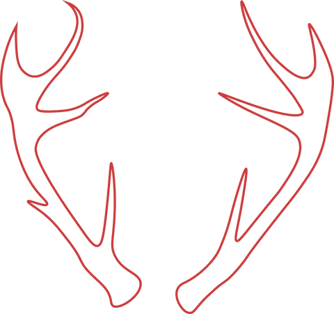 Red Deer Antlers Illustration on Transparent Background - Download Free Stock Videos Pikwizard.com