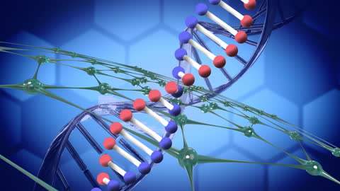 Digital Illustration of DNA Strands with Interconnected Networks