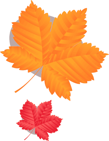 Artistic autumn leaves illustration on transparent background