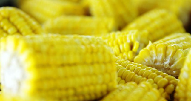 Fresh juicy yellow corn cobs showing details of each kernel. Ideal for use in healthy eating campaigns, agricultural contexts, food blogs, or recipe exhibitions highlighting fresh produce.