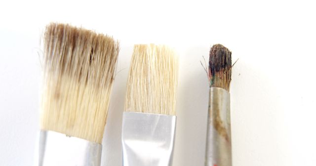 Close-Up of Three Different Paint Brushes on White Background - Download Free Stock Images Pikwizard.com