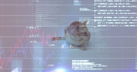 Cat Observing Digital Data Flow with Graph Overlays