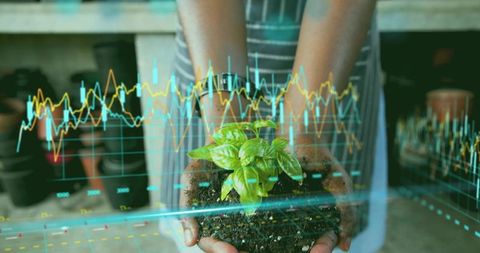 Hands Holding Seedling with Digital Growth Charts for Sustainable Agriculture Innovation