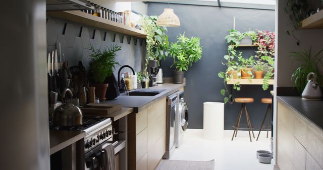 This image showcases a modern urban kitchen featuring an abundance of lush greenery and a minimalist design. The sleek countertops are adorned with various decorative indoor plants, creating a vibrant and refreshing atmosphere. A stainless steel stove and washing machine add to the contemporary feel, while open shelving and wooden stools provide an inviting touch. Ideal for use in articles or posts about kitchen design, sustainable living in urban areas, or tips for incorporating plants into home decor.