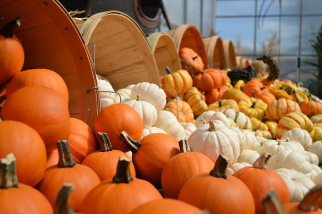 Assorted pumpkins and gourds displayed in wooden baskets at a farm market. Ideal for illustrating fall themes, harvest celebrations, and autumn festivals. Perfect for advertisements, posters, and social media posts related to seasonal produce and decor.