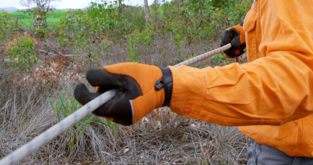 Forester is using rope while working in the forest, wearing orange protective clothing and gloves. Suitable for projects related to forestry, nature conservation, and safety during outdoor fieldwork. Ideal for environmental protection campaigns or forestry equipment advertisements.