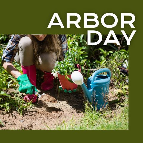 Woman Gardening on Arbor Day with Watering Can and Plant - Download Free Stock Templates Pikwizard.com