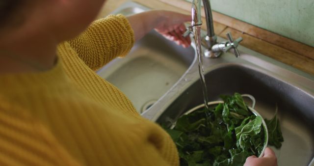 Person Washing Fresh Green Vegetables in Sink with Running Water - Download Free Stock Images Pikwizard.com