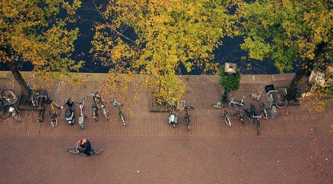 Autumn day cycling in amsterdam by canal