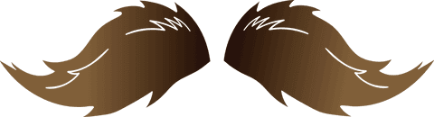 Stylized Brown Moustache on Transparent Background - Download Free Stock Videos Pikwizard.com