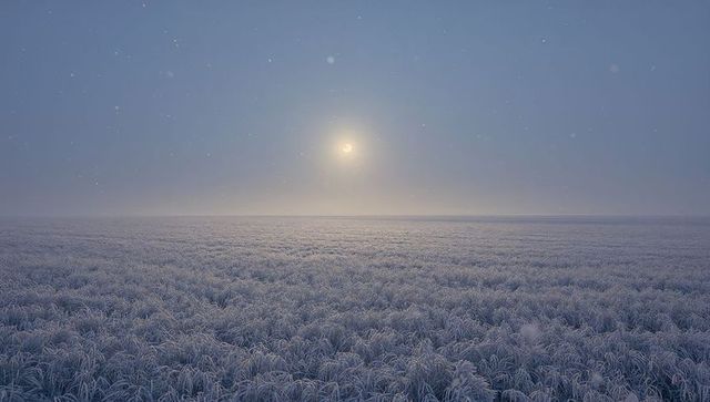 Frosted meadow at dawn with pale sun halo, misty horizon and hoarfrost grass field
