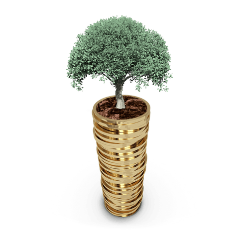 Financial Growth Concept with Coins and Tree on Transparent Background