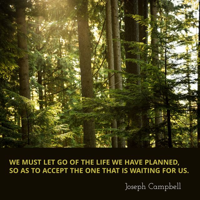 Serene sunlit forest featuring an inspirational quote by Joseph Campbell. Suitable for promoting wellness, encouraging conservation efforts, or adding a peaceful ambiance to presentations, social media, and advertisements. Ideal as visual content for mindfulness and motivational platforms.