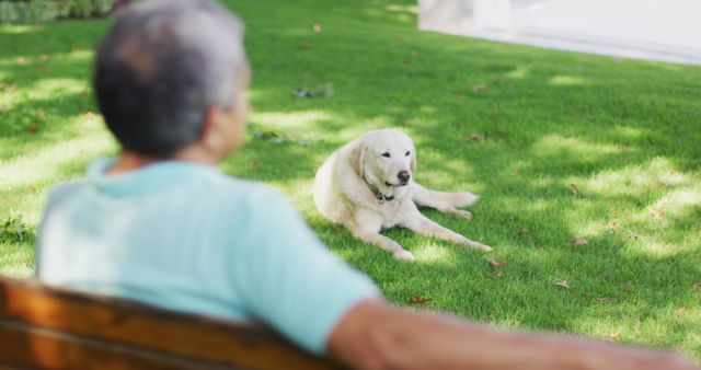 Image of back view of biracial senior man sitting on bench in garden with dog. active retirement lifestyle and spending time outdoors.