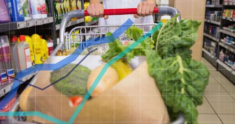 Data Analysis Overlay on Shopping Experience in Grocery Store - Download Free Stock Images Pikwizard.com