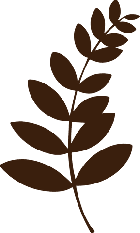Transparent background brown leafy silhouette for minimalist designs