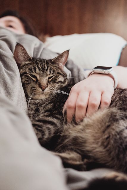 Tabby cat relaxing on bed next to person wearing smartwatch, showcasing intimate bond. Perfect for pet care articles, smartwatch product advertisements, or content promoting relaxation and comfort at home.