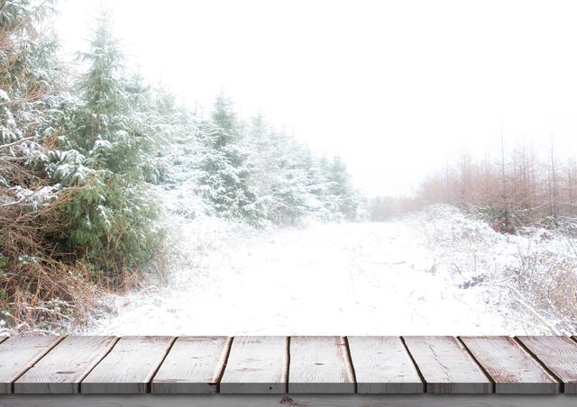 Digital composition of wooden footbridge with snow covered trees in background