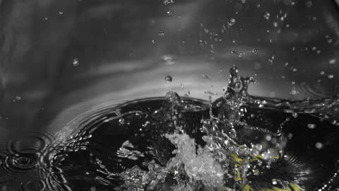 Flowing Water Splashing from Corn Cob Plunge