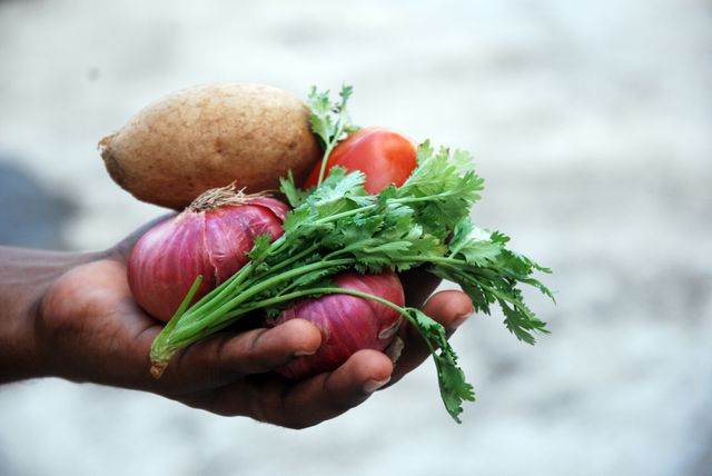 Vegetables hand onions potato - Download Free Stock Photos Pikwizard.com
