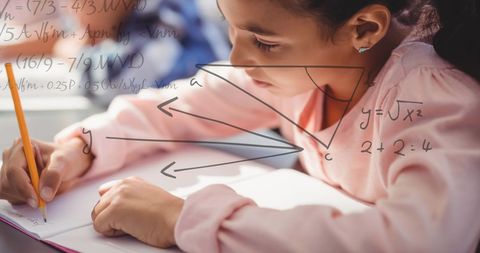 Student Immersed in Geometry and Equations Study