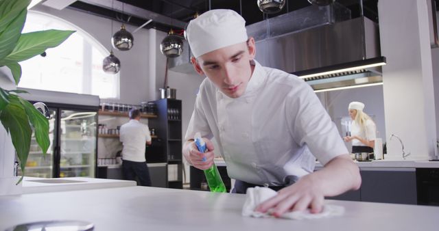 Restaurant Chef Cleaning Kitchen Counter with Disinfectant - Download Free Stock Images Pikwizard.com