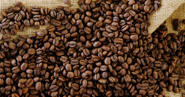 A close-up view shows a heap of freshly roasted coffee beans spread across a burlap sack. The rich brown color of the beans contrasts with the rustic burlap texture, emphasizing the organic and natural feel. Suitable for use in advertisements for coffee products, café decor, articles on coffee brewing, and food blogs. Ideal for illustrating concepts related to freshness, aroma, and caffeine.