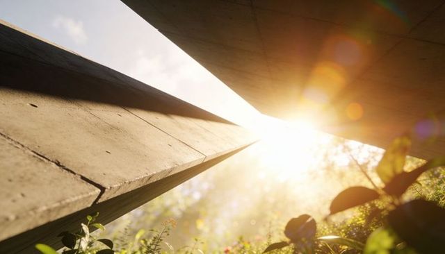 Sunlight streaming between weathered concrete slabs creating golden lens flare and vegetation