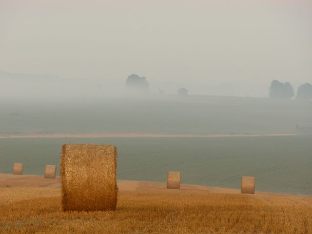 Hay Bales in a Misty Field During Autumn - Download Free Stock Photos Pikwizard.com