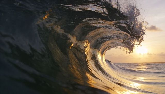 Curling ocean wave glowing with golden-hour light, surf barrel close-up motion