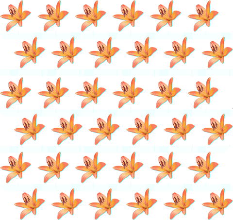 orange floral pattern with striking 3d effect on transparent background - Download Free Stock Videos Pikwizard.com