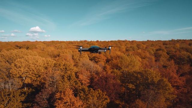 Drone hovering over autumn forest capturing aerial footage of golden foliage