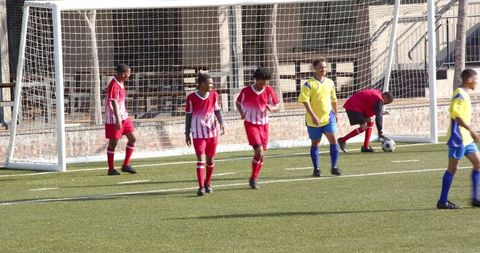 Youth Soccer Game Underway on Sunny Day