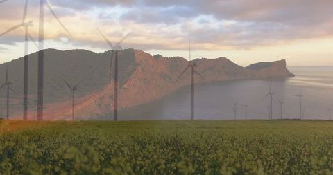 Wind turbines overlooking coastal ridge at golden hour with flowering meadow and calm sea