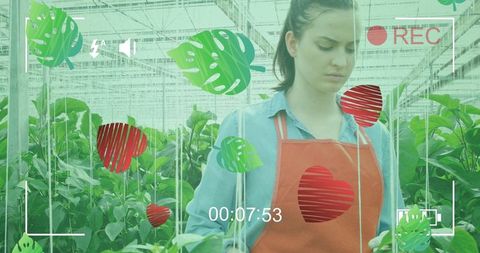 Digital interface over young woman gardening in greenhouse