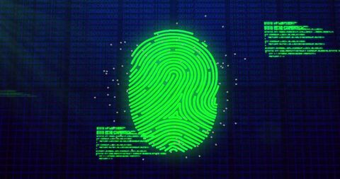 Biometric Fingerprint Data Processing Concept - Download Free Stock Images Pikwizard.com