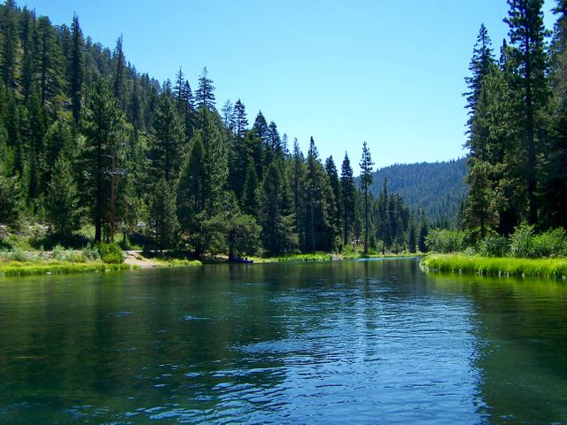 Surface of a tranquil river flowing through a dense coniferous forest with lush greenery on both banks. Serene atmosphere ideal for concepts of peacefulness, nature, outdoor recreation, and wilderness escape. Perfect for use in travel brochures, outdoor blogs, conservation articles, and relaxation visuals.