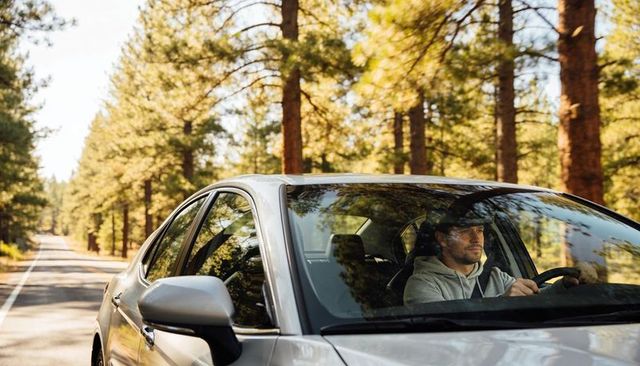 Man driving silver sedan along sunlit pine forest road during golden hour