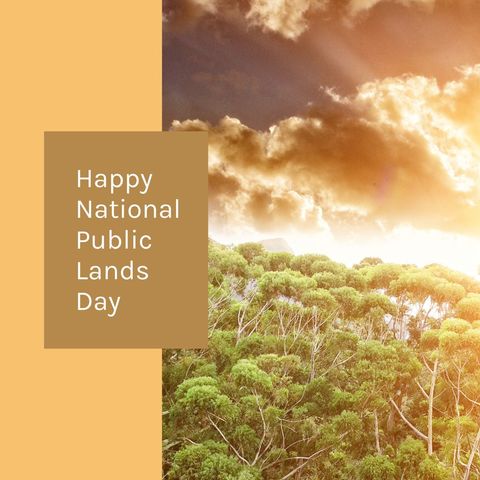 Celebrating National Public Lands Day with Scenic Forest - Download Free Stock Templates Pikwizard.com