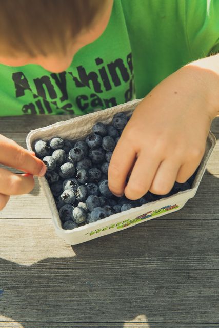 Child Picking Fresh Blueberries in Basket - Download Free Stock Images Pikwizard.com