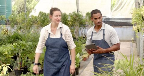 Coworkers Managing Growing Operations in Greenhouse Aisle