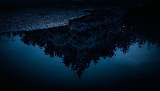 Moody blue night pine trees reflecting on calm lake shore with pebbles and ripples