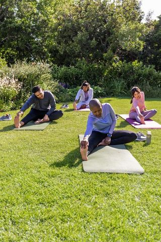 Diverse outdoor fitness group stretching on sunny park lawn practicing yoga and flexibility