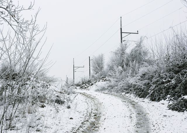 Winding snowy road lined with frosty trees and electricity poles. Suitable for illustrating winter landscapes, rural scenes, cold weather, and seasonal changes.
