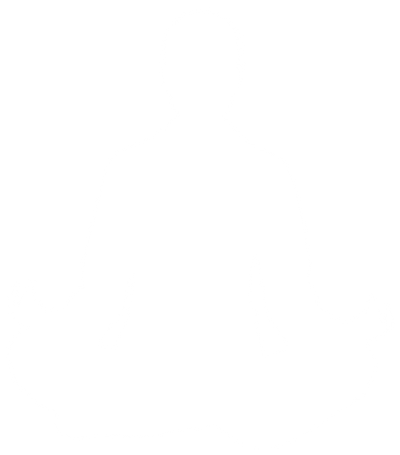 Silhouette of Woman in Meditative Pose on Transparent Background - Download Free Stock Videos Pikwizard.com