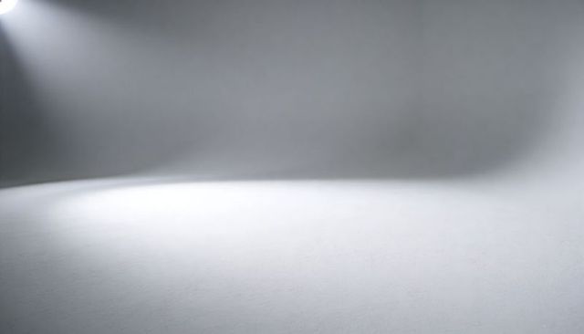 Minimal White-to-Gray Seamless Cyclorama Backdrop with Spotlight and Soft Gradient