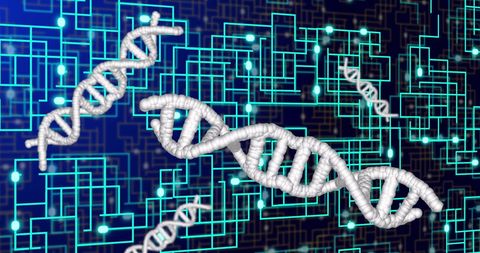 DNA Strands with Digital Network Interface Background - Download Free Stock Images Pikwizard.com