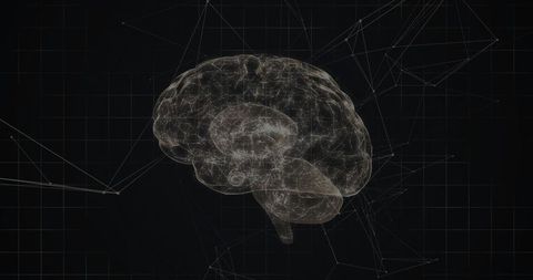3D Wireframe Brain in Virtual Network Space