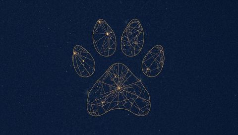 Glowing golden paw network connecting stars in midnight constellation lattice symbol